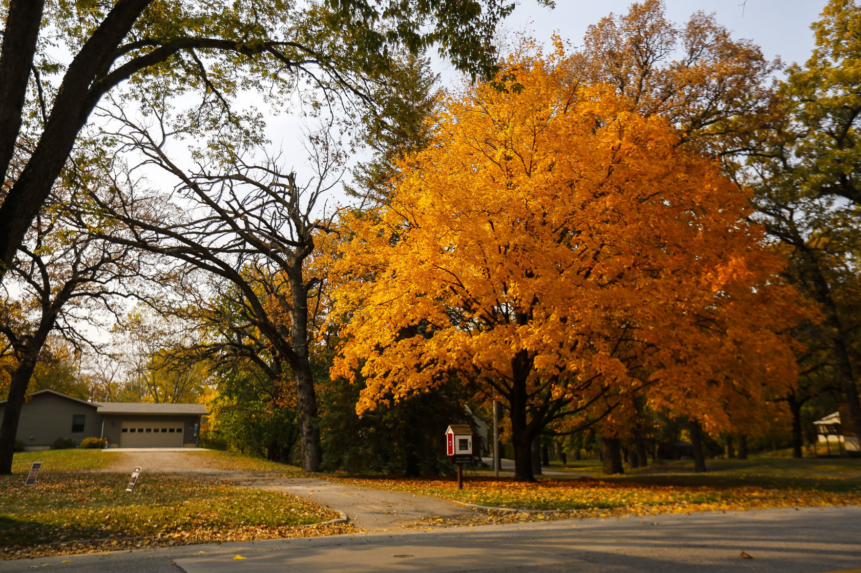 Fall